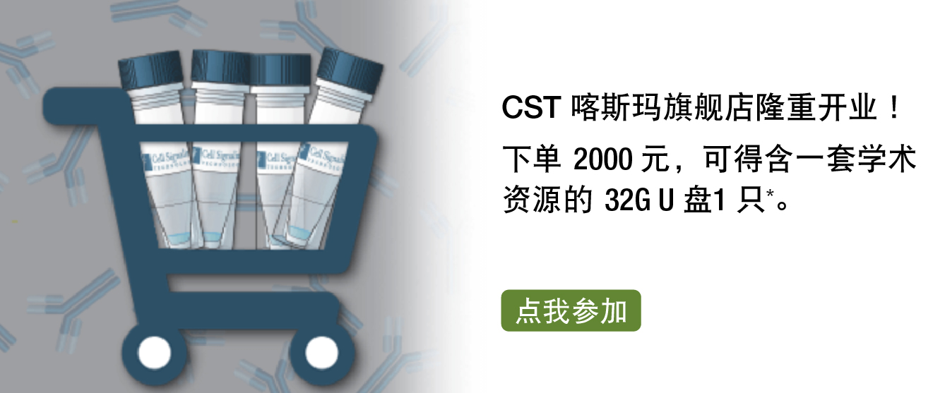 零距离，更便捷！CST 喀斯玛旗舰店隆重开业！