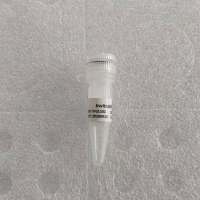 InvivoPlus™增强型动物转染试剂