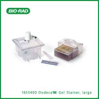 伯乐Bio-Rad1653400 Dodeca™ Gel Stainer, large,Dodeca™ 凝胶染色剂,现货
