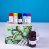 山梨醇脱氢酶(SH)酶活测定试剂盒