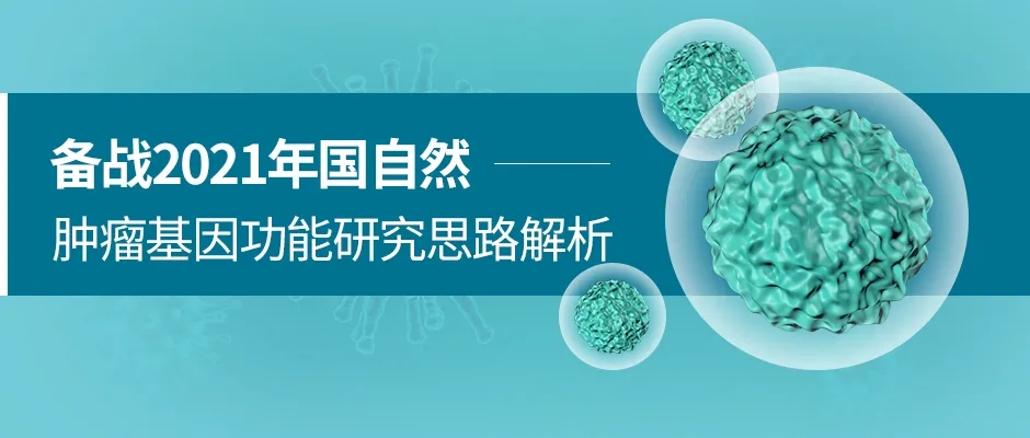 备战2021年国自然：肿瘤基因功能研究思路解析