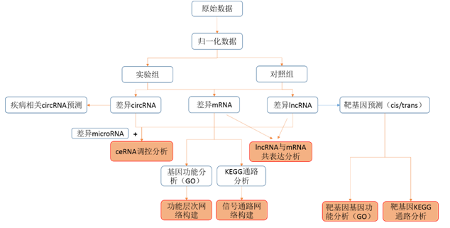 ceRNA芯片分析流程