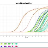 实时荧光定量PCR(real-time PCR)