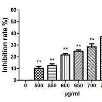 细胞增殖实验/CCK8