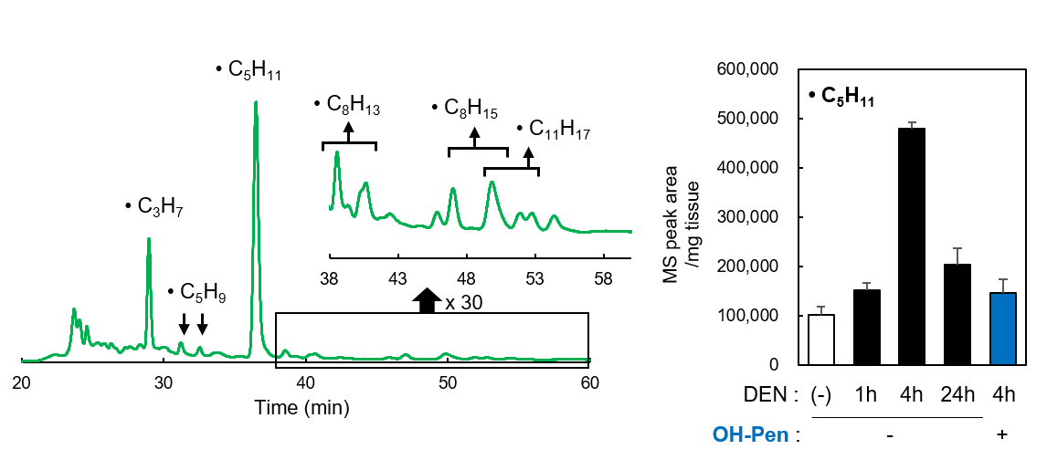 0416097421386453.png 0416097421386453.png