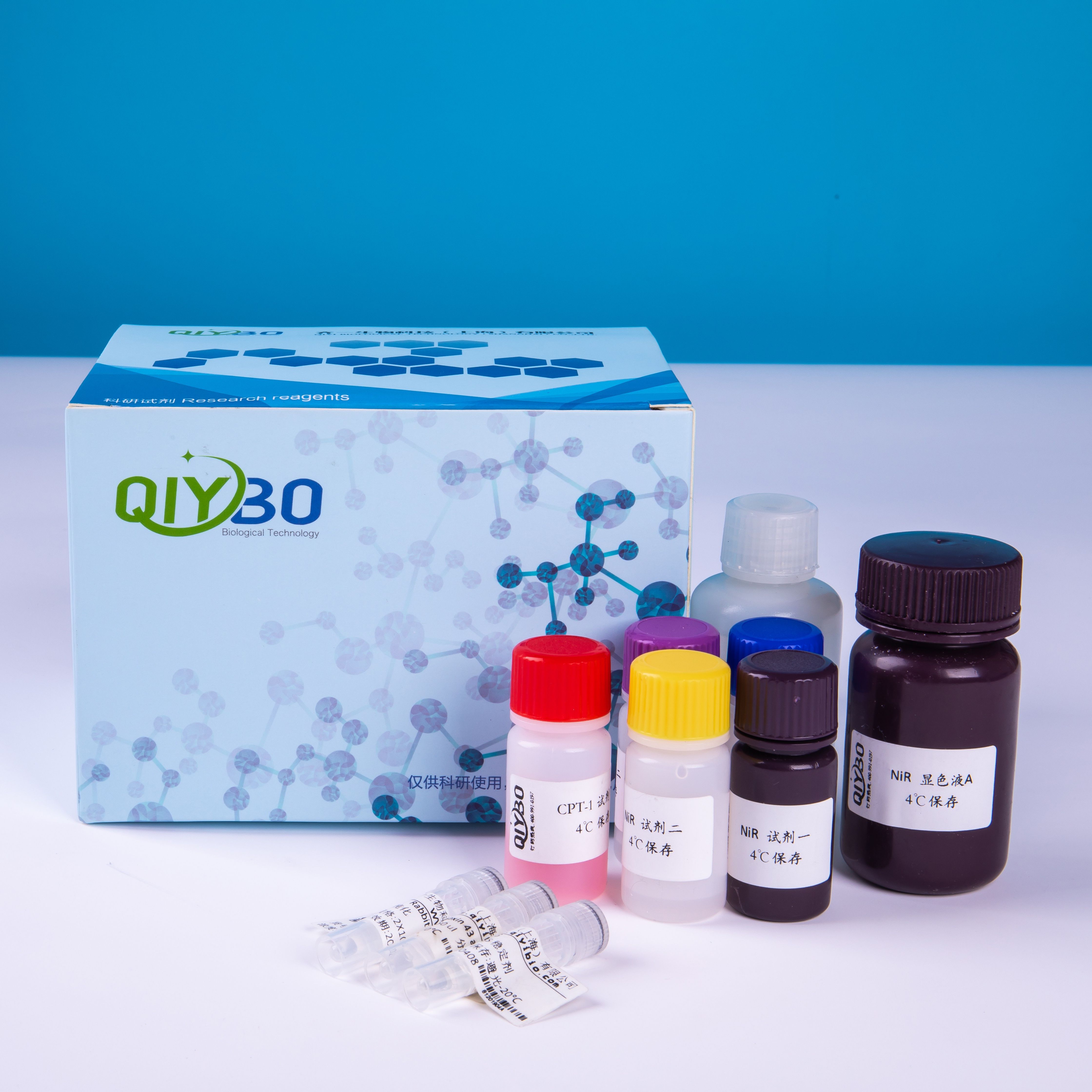 血磷浓度测定试剂盒