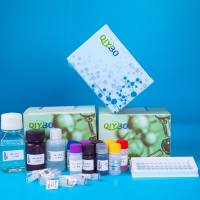 水样中汞离子(Hg2+)浓度测定试剂盒