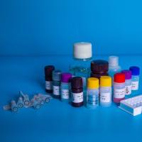 外切-β-1，4-葡聚糖酶(C1)酶活测定试剂盒