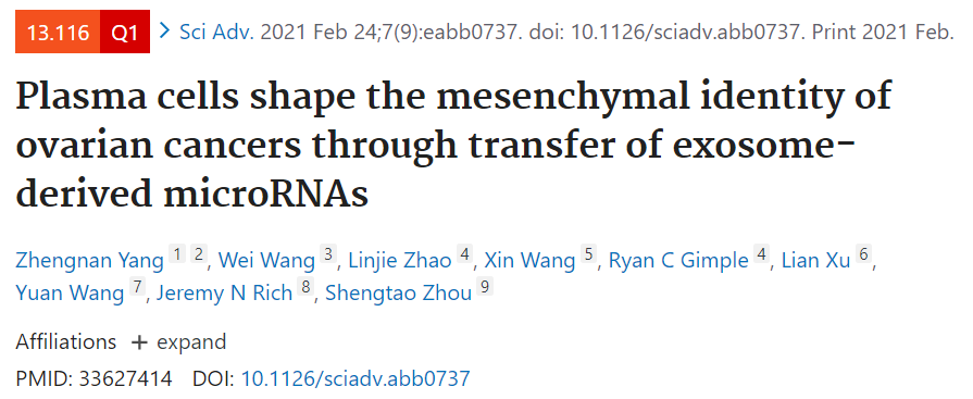 浆细胞来源外泌体重塑卵巢癌间质表型