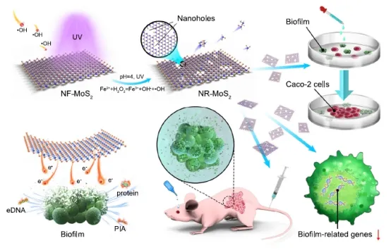2021 连发两篇 Nature 子刊,实力不容小觑!