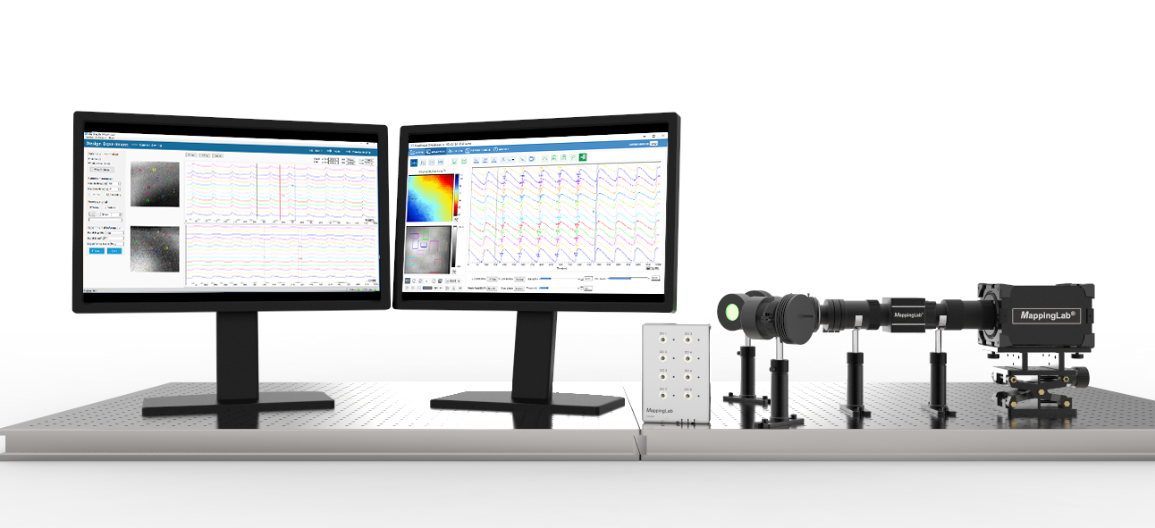 心脏荧光标测系统-心肌细胞钙瞬变