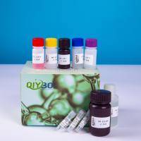 土壤淀粉酶酶活测定试剂盒