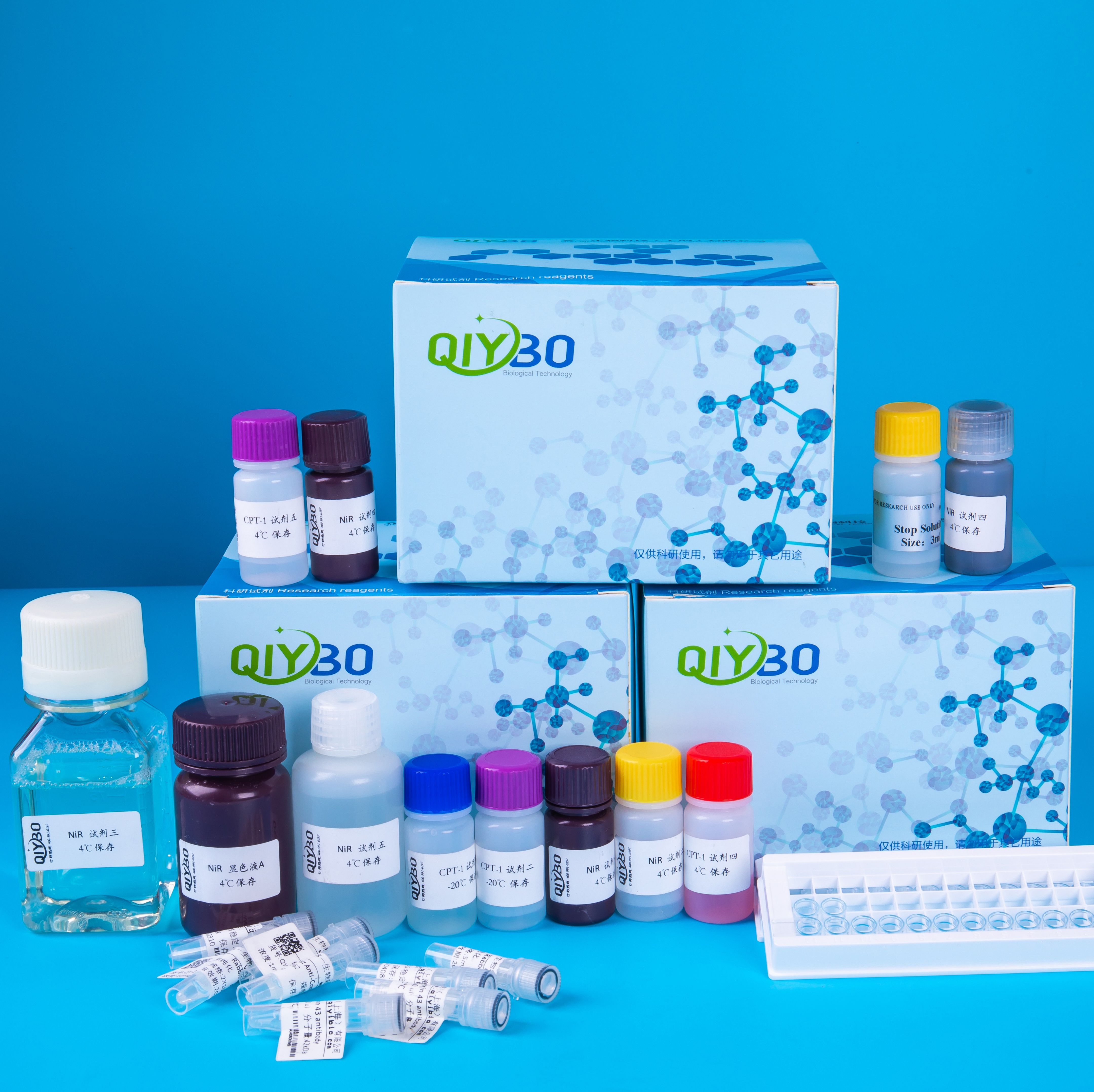 土壤中性木聚糖酶酶活测定试剂盒