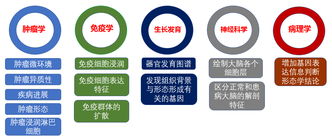 空间转录组测序分析【10x Genomics / BD】_价格-厂家-供应商_上海伯豪 