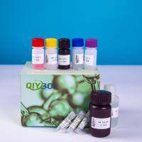 锰过氧化物酶(MnP)酶活测定试剂盒