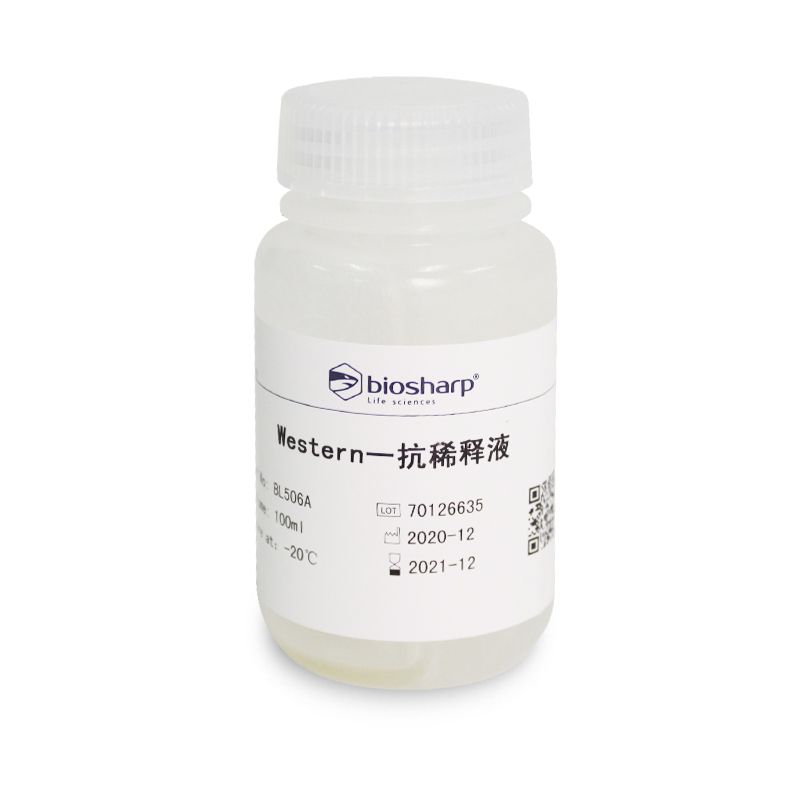 biosharp BL506A Western一抗稀释液