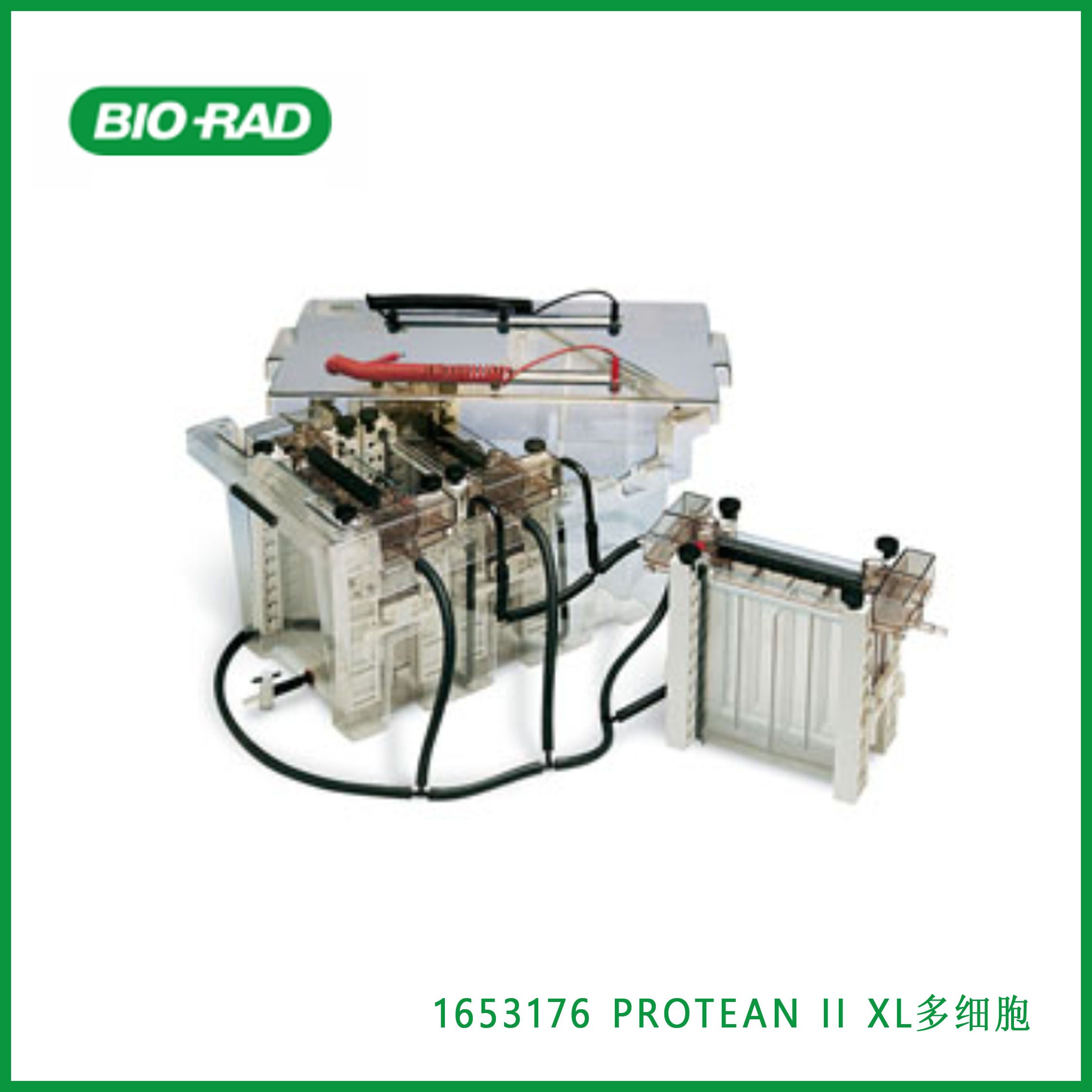 伯乐Bio-Rad1653176PROTEAN II XL Multi-Cell,PROTEAN II XL多板电泳槽,现货
