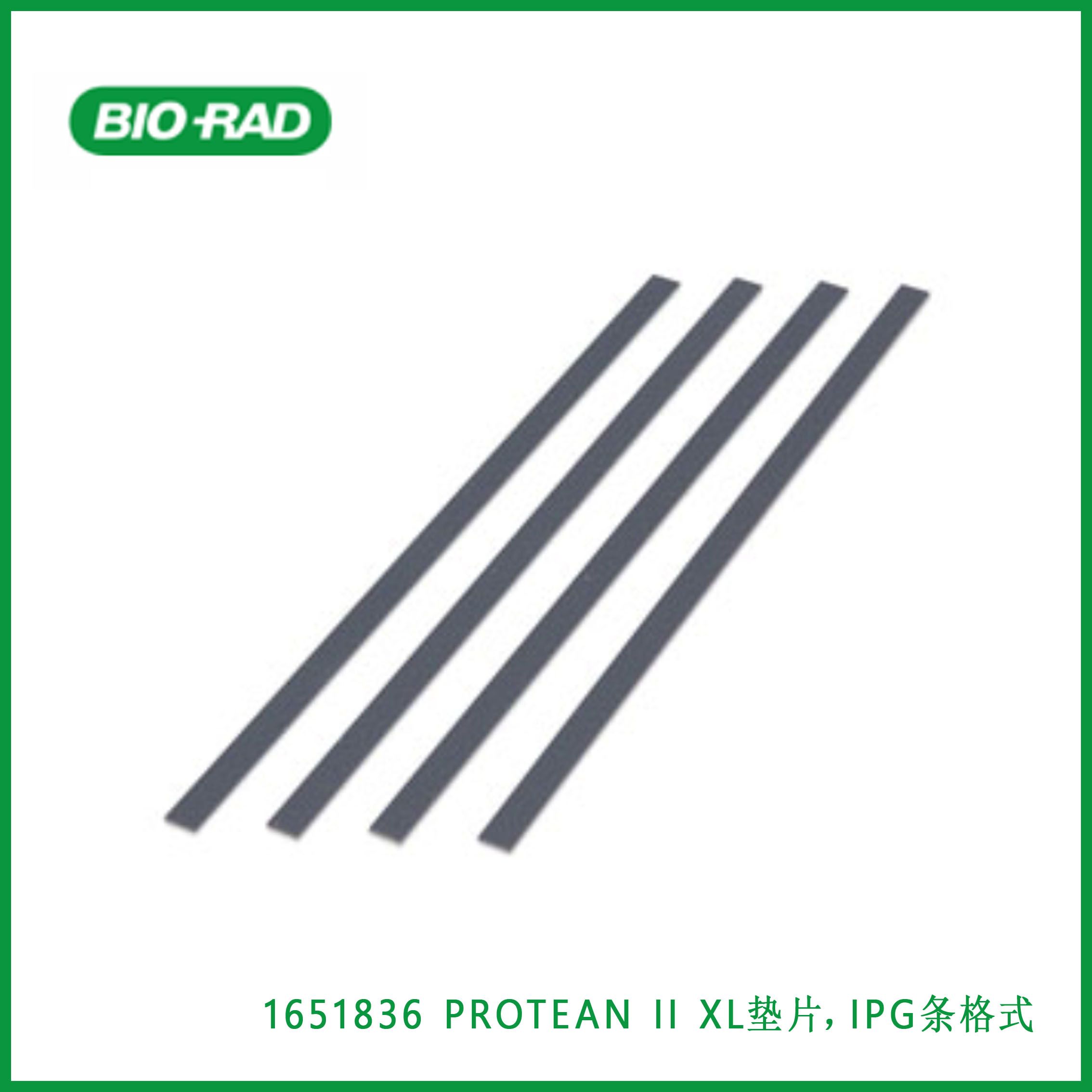 伯乐Bio-Rad1651836PROTEAN II XL Spacers, IPG Strip Format,PROTEAN II XL垫片,IPG条格式,现货