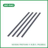 伯乐Bio-Rad1651836PROTEAN II XL Spacers, IPG Strip Format，PROTEAN II XL垫片，IPG条格式，现货