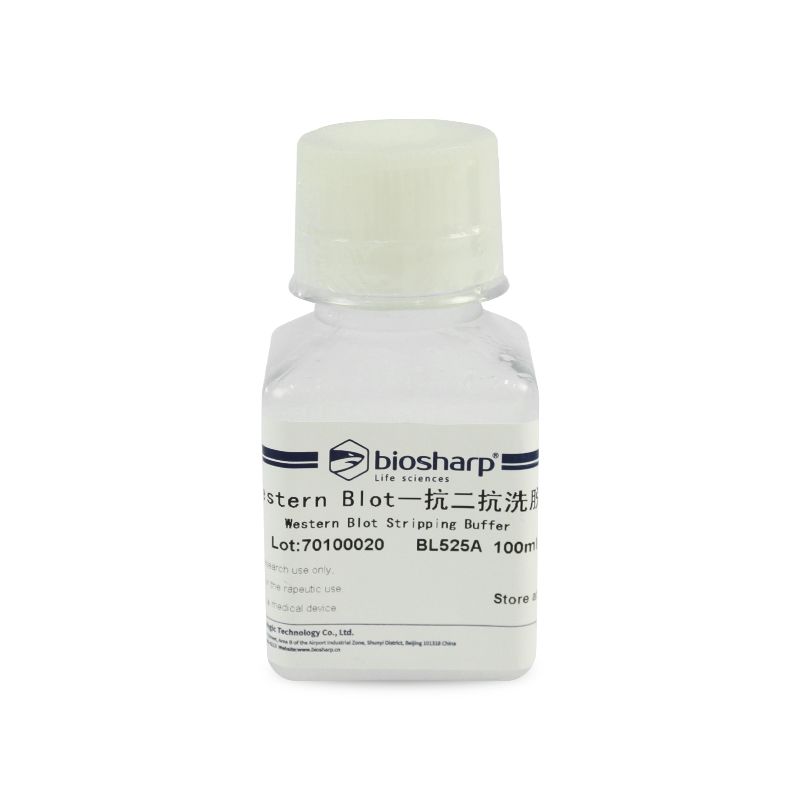 biosharp BL525A Western Blot一抗二抗洗脱液
