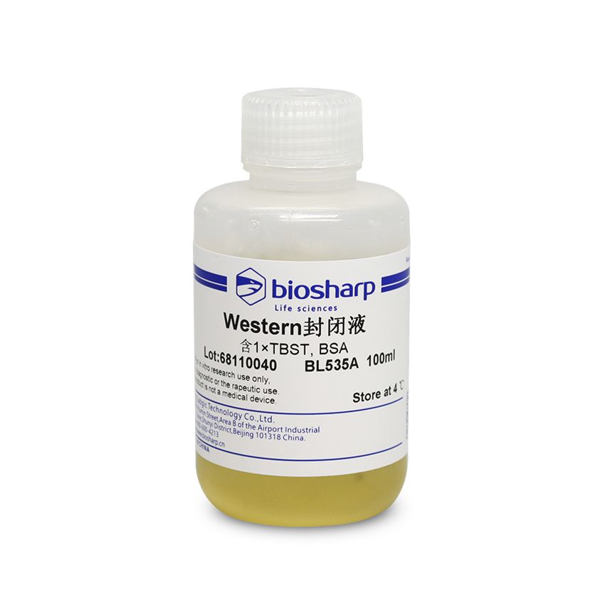 biosharp BL535A Western封闭液
