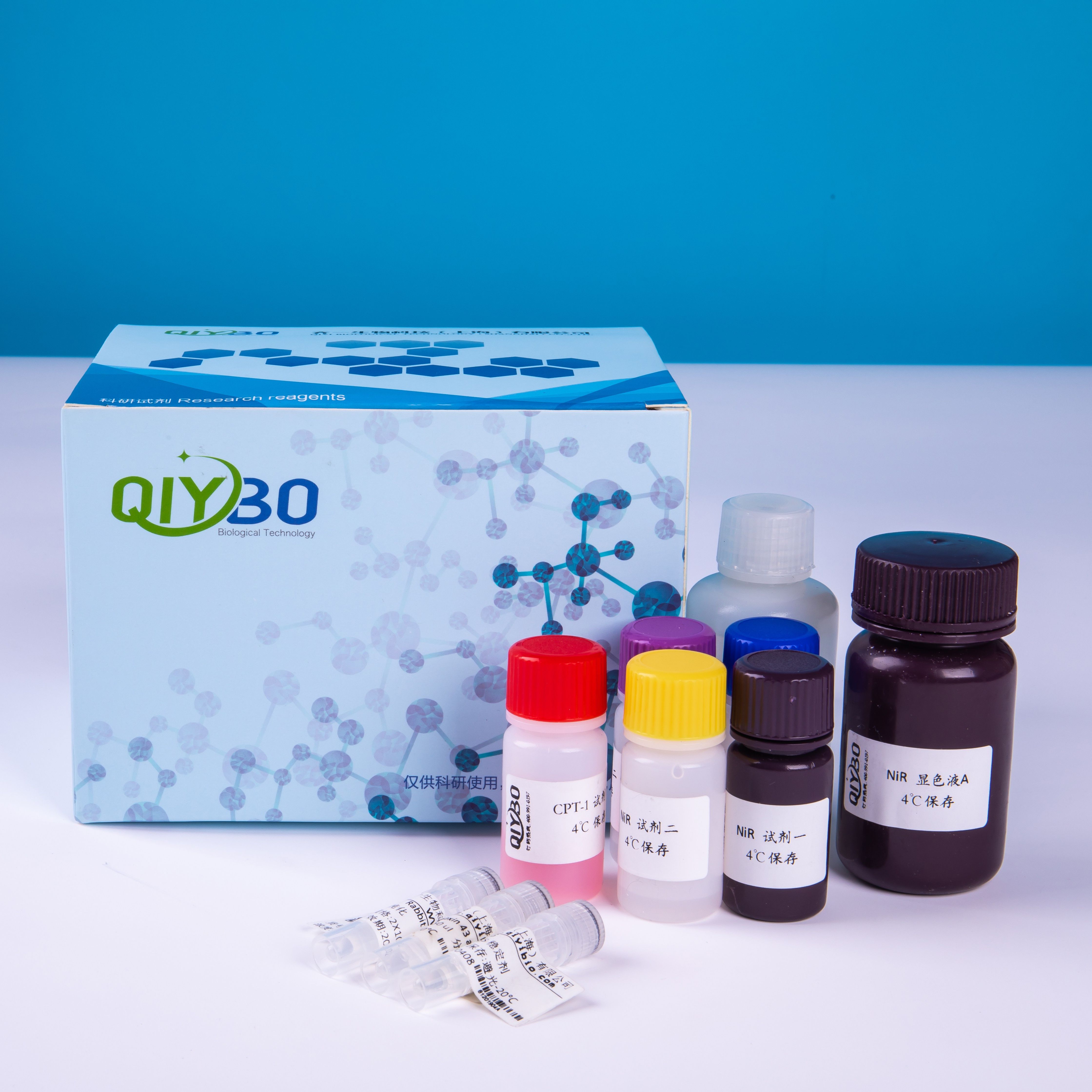 二磷酸核酮糖羧化酶/加氧酶(Rubisco)酶活测定试剂盒
