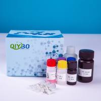 二磷酸核酮糖羧化酶/加氧酶(Rubisco)酶活测定试剂盒