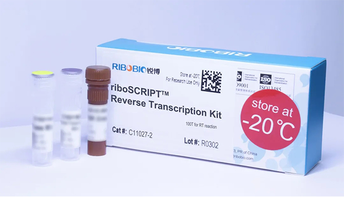 mRNA与ncRNA逆转录实验，有它就够啦！