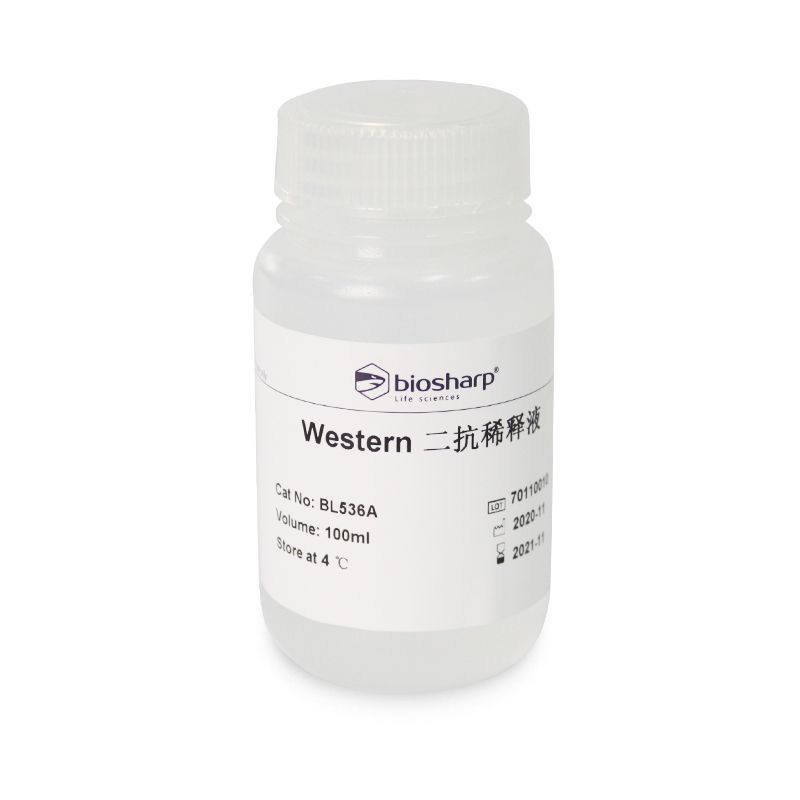 biosharp BL536A Western二抗稀释液