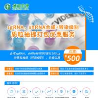 sgRNA、shRNA合成+转染级质粒抽提打包服务