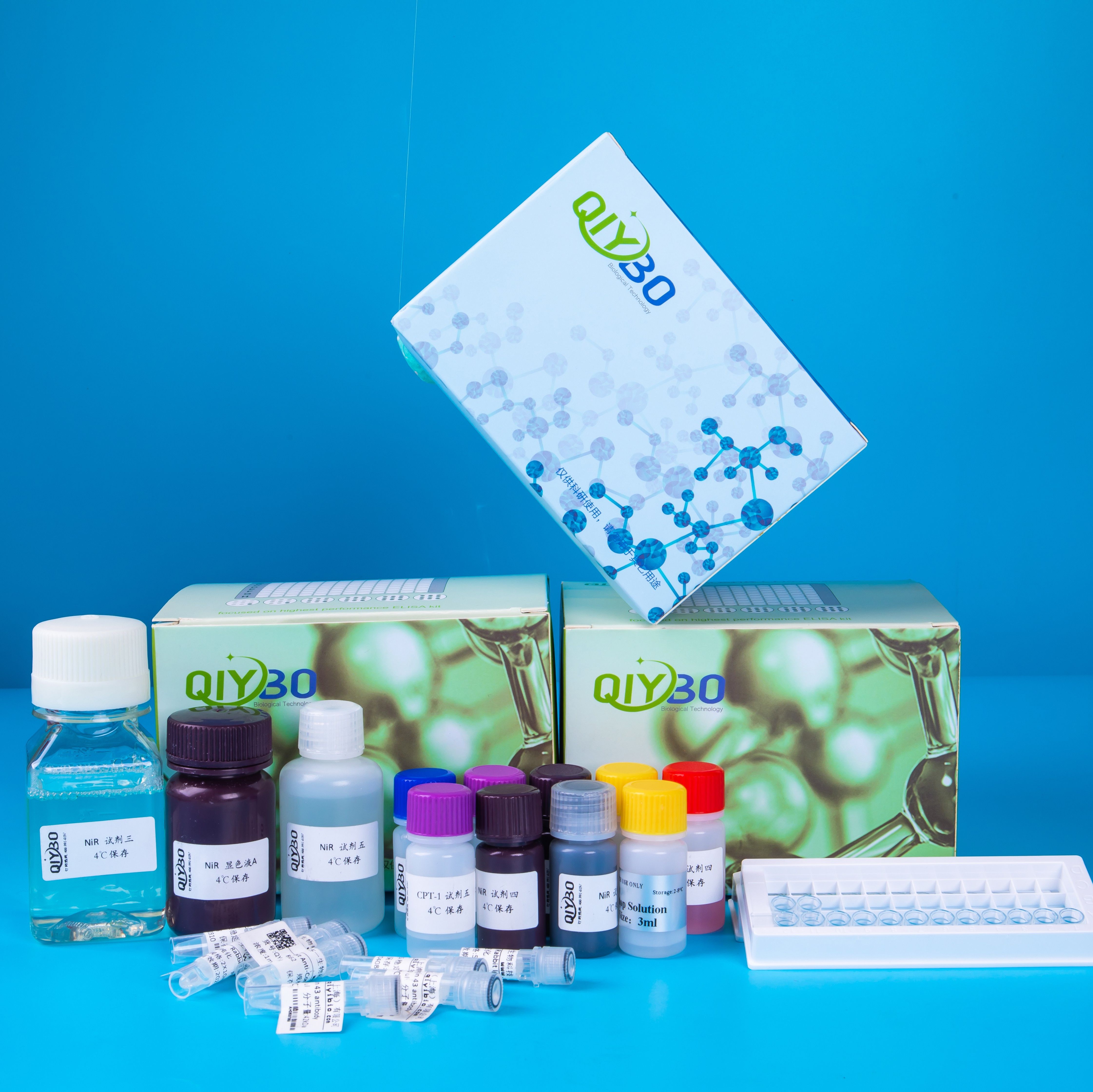 BCA蛋白法含量测定试剂盒