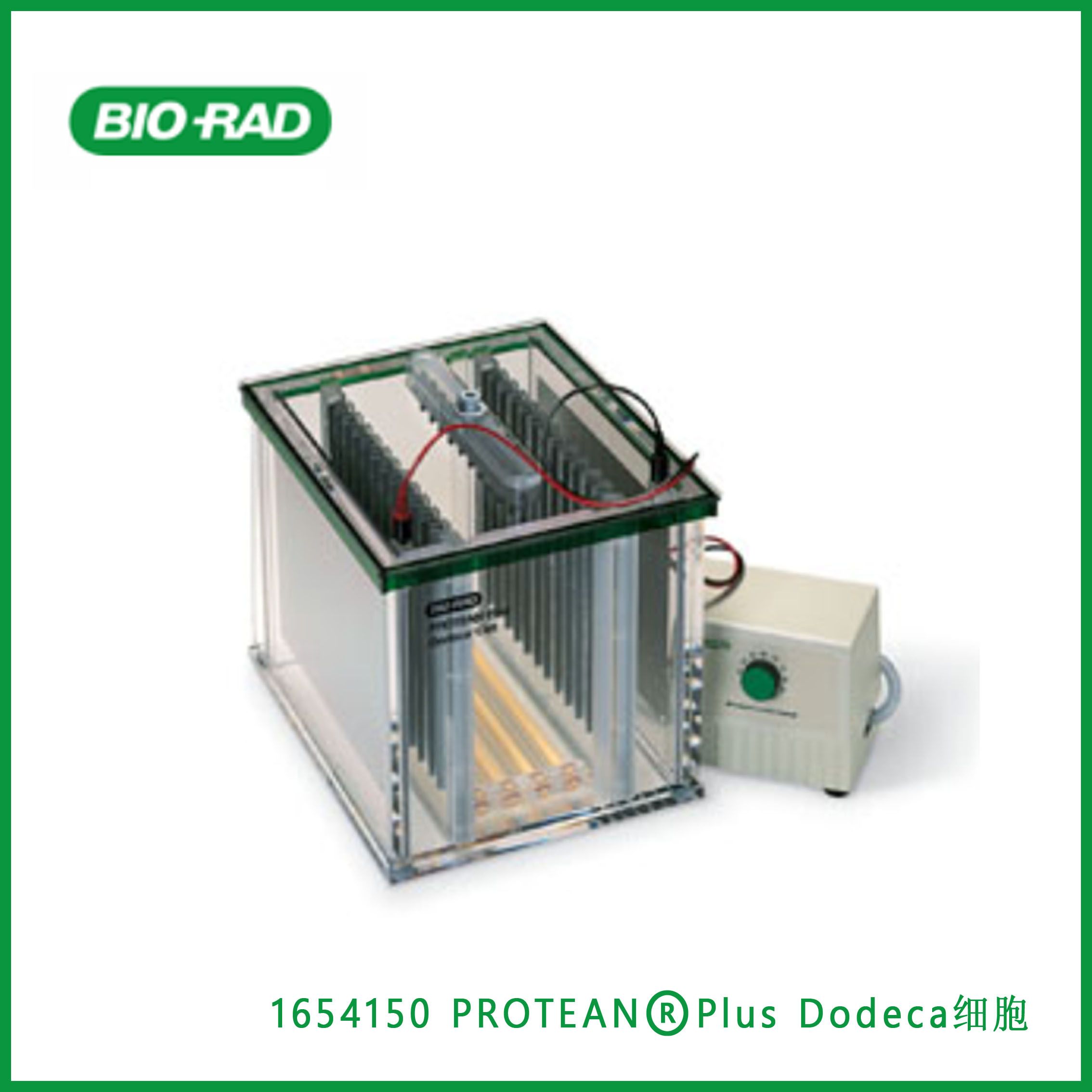 伯乐Bio-Rad1654150PROTEAN® Plus Dodeca Cell， ​​​​​​​PROTEAN®Plus Dodeca高通量电泳槽，现货