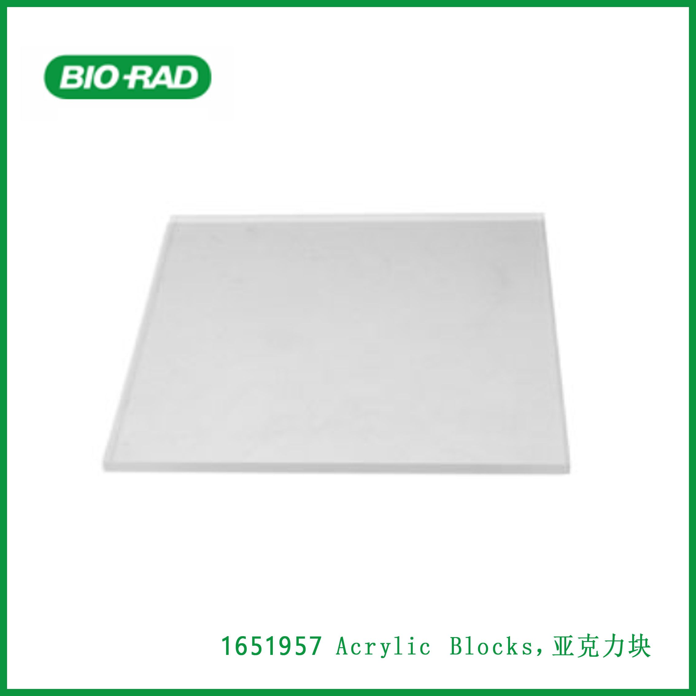 伯乐Bio-Rad1651957Acrylic Blocks，亚克力块，现货