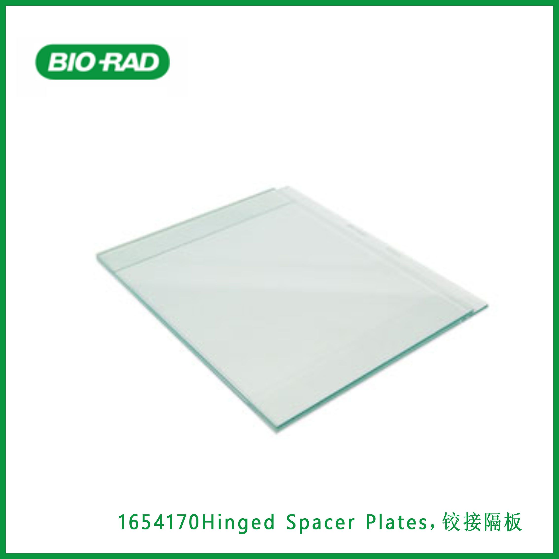 伯乐Bio-Rad1654170Hinged Spacer Plates，铰接隔板，现货