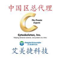 Fascin-1 Protein: Wild-Type (Human Recombinant)/Fascin-1 Protein: Wild-Type (Human Recombinant)/Fascin-1 Protein: Wild-Type (Human Recombinant)