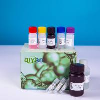 土壤亮氨酸氨基肽酶(S-LAP)测定试剂盒