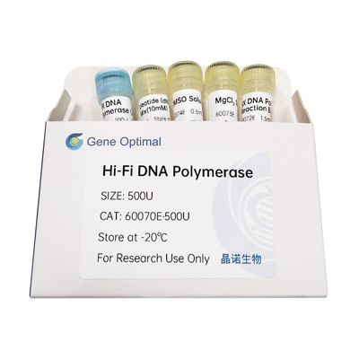 Hi-Fi DNA Polymerase 高保真聚合酶