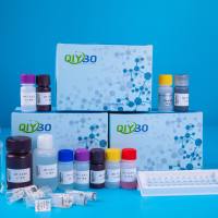 细胞无机磷/游离磷酸根离子比色法定量检测试剂盒