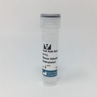 BIOTINYLATED ANTI-RAT IgG (MOUSE ADSORBED) (0.5mg)山羊抗大鼠IgG抗体，生物素标记