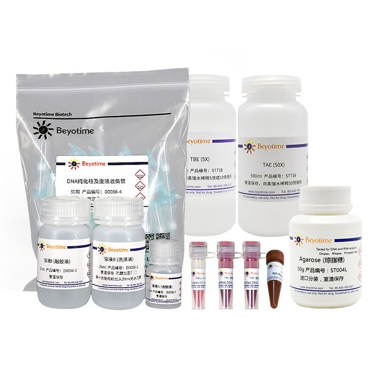 核酸电泳与回收小套餐
