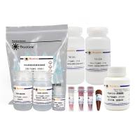 核酸电泳与回收小套餐