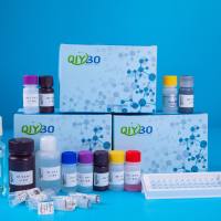 甲醇快速测定试剂盒