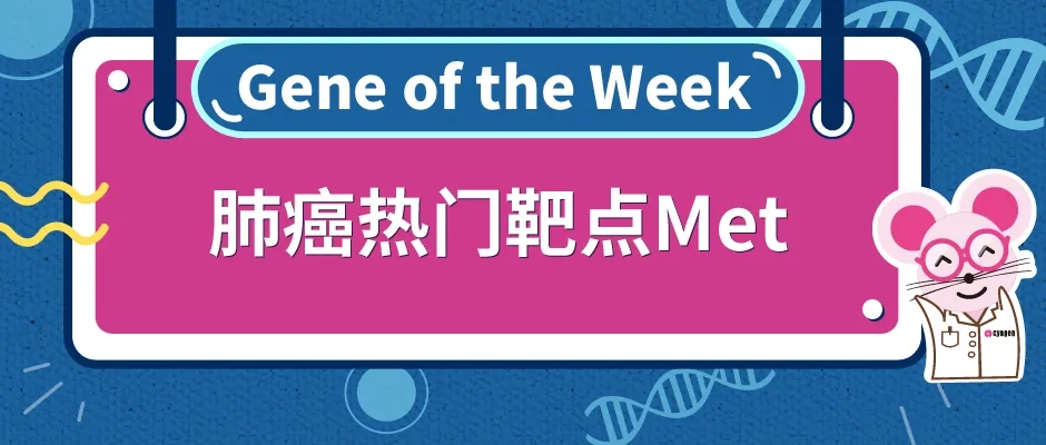 肺癌研究热门靶点之MET