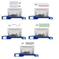 小动物生理信号遥测系统