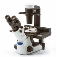 奥林巴斯CKX53倒置显微镜