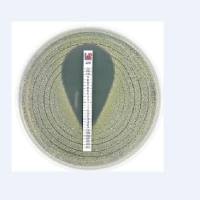 ETEST药物浓度梯度条MIC法 进口