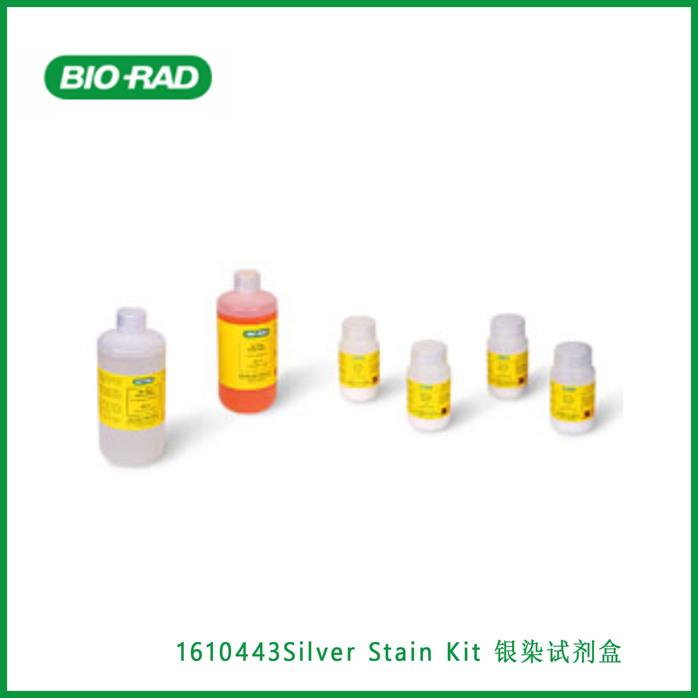 伯乐Bio-Rad1610443Silver Stain Kit 银染试剂盒，现货