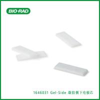 伯乐Bio-Rad1646031Gel-Side Down Electrode Wicks，凝胶侧下电极芯，现货