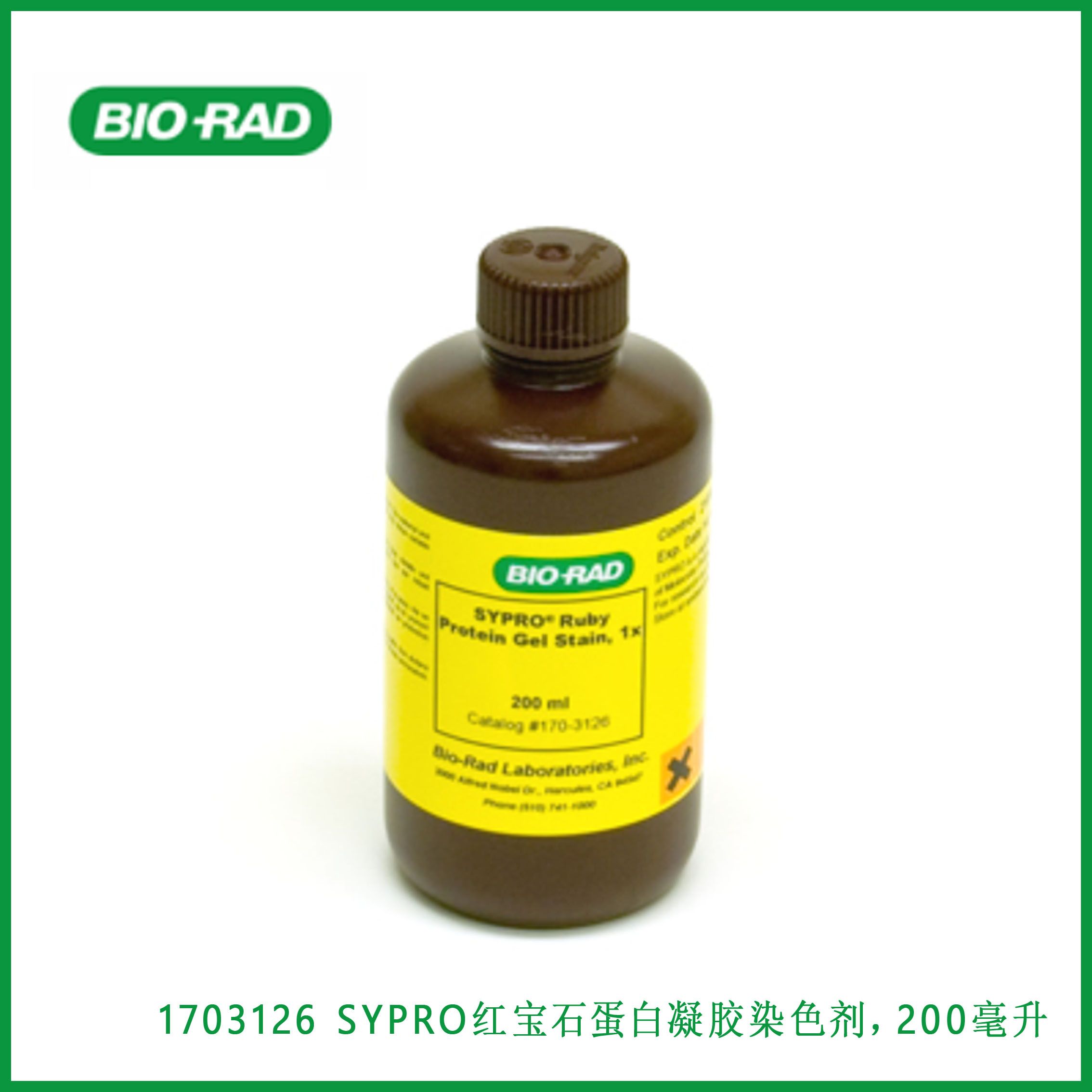 伯乐Bio-Rad1703126SYPRO Ruby Protein Gel Stain, 200 ml，SYPRO红宝石蛋白凝胶染色剂，200毫升，现货