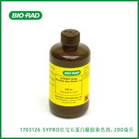伯乐Bio-Rad1703126SYPRO Ruby Protein Gel Stain, 200 ml，SYPRO红宝石蛋白凝胶染色剂，200毫升，现货